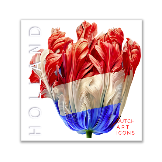 Holland Tulip Red White Blue 4