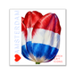 Tile Project - Tile Tulip Netherlands 3