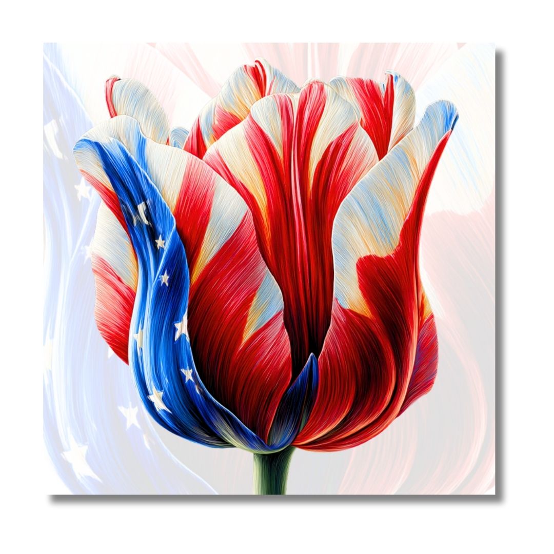 USA Tulip Iconic Flag