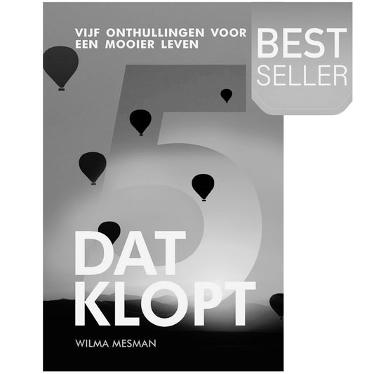 BESTSELLER: Dat Klopt - Ebook