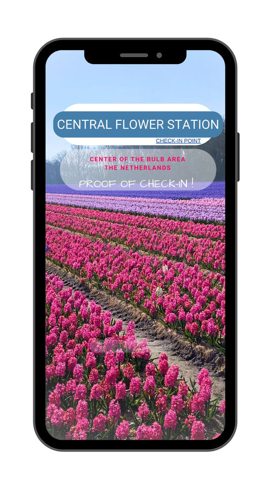 Screensaver CFS - Flower Field