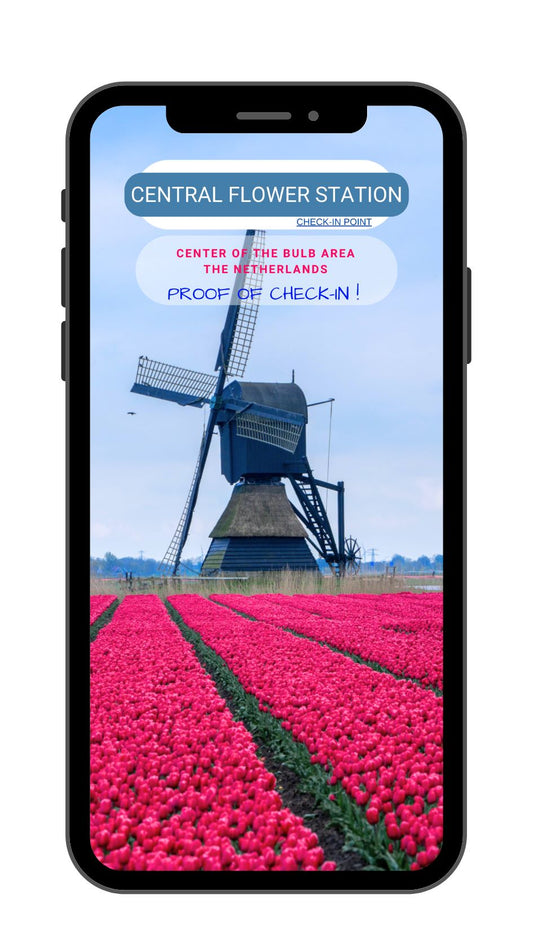 Screensaver CFS - Windmill