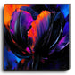 Wilma mesman zwarte tulp black tulip kunst collectie