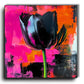 Wilma mesman zwarte tulp black tulip kunst collectie